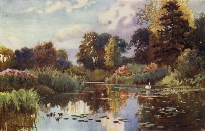 El lago en los Jardines Botánicos de William Matthison