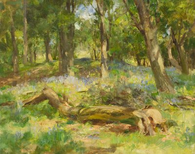 Escena del Bosque de William Stewart MacGeorge