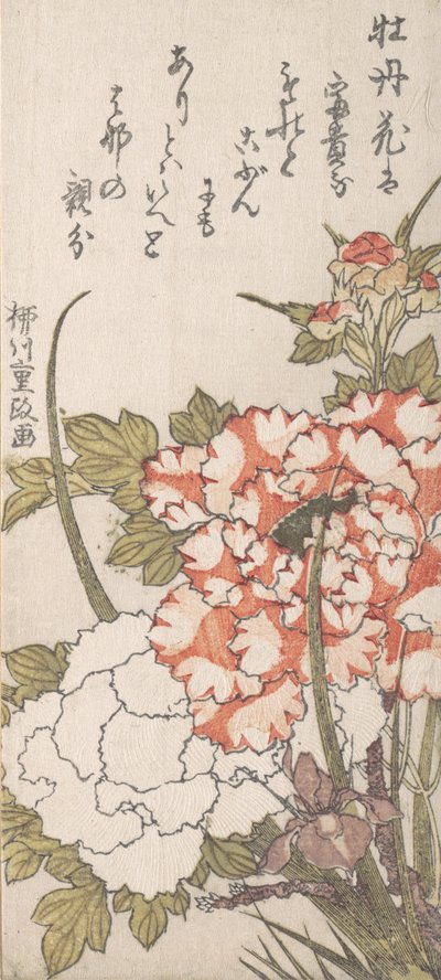 Peonías e iris, siglos XVIII-XIX de Yanagawa Shigemasa