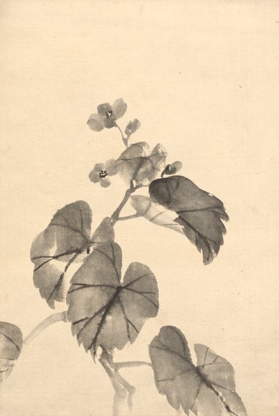 Branch of Begonia in Bloom de attributed to Kono Bairei