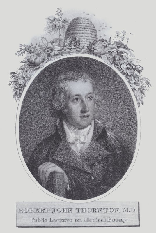 Robert John Thornton (litografía) de (after) English School