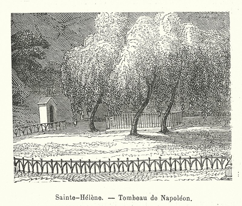 Sainte-Helene, tumba de Napoleón (grabado) de (after) French School