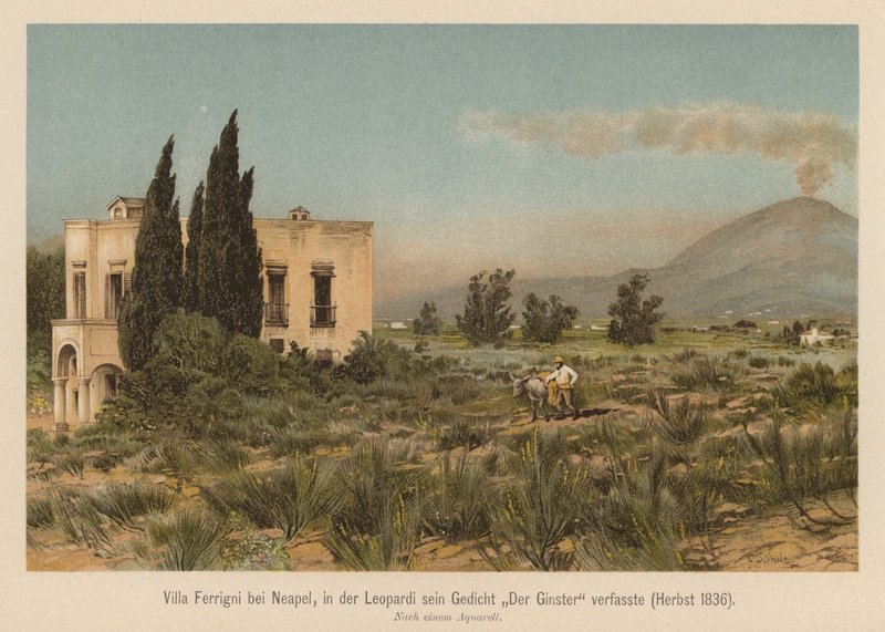 Villa Ferrigni, cerca de Nápoles (litografía en color) de (after) German School