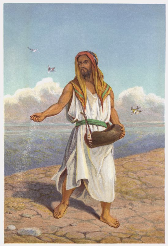 Parábolas de Jesucristo: El sembrador de English School
