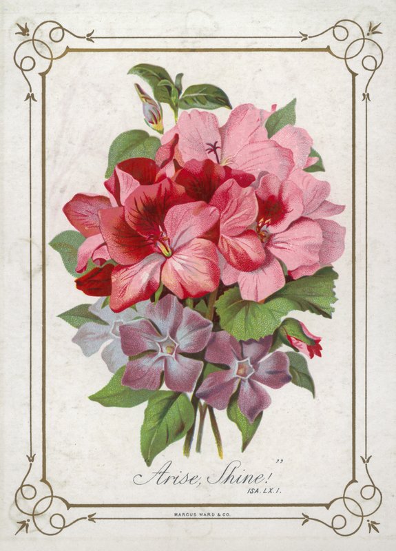 Ramillete de flores de English School
