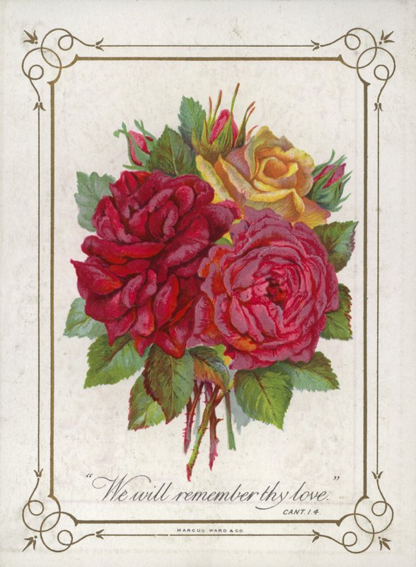Ramillete de flores de English School