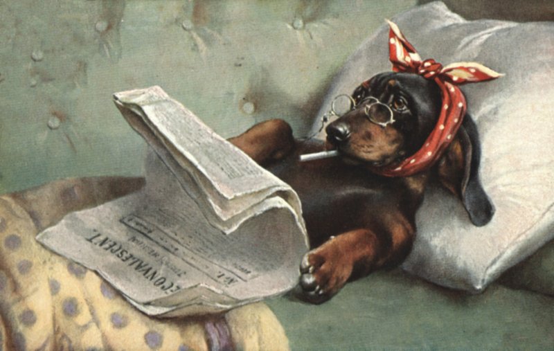 Perro leyendo un periódico de French School