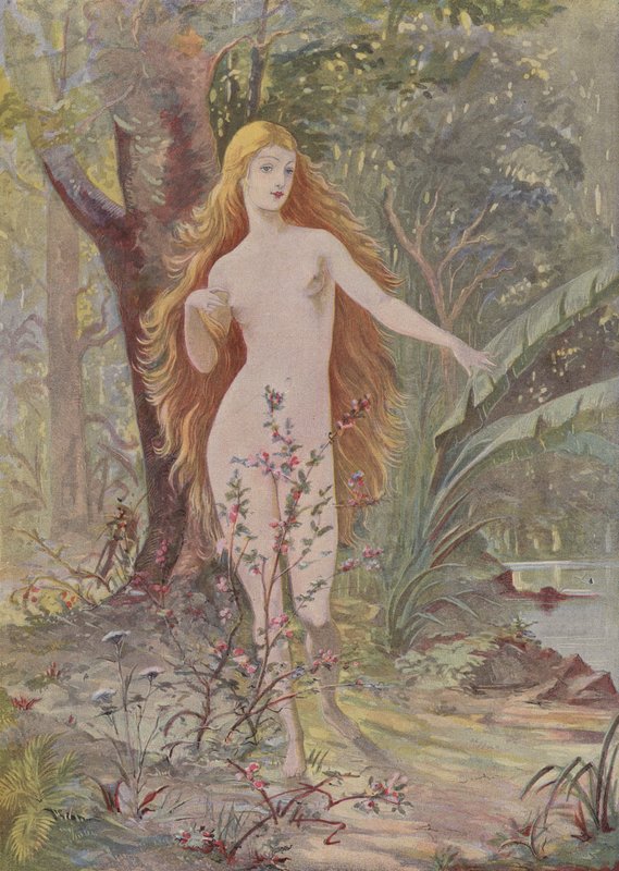 El Nacimiento de la Mujer de French School