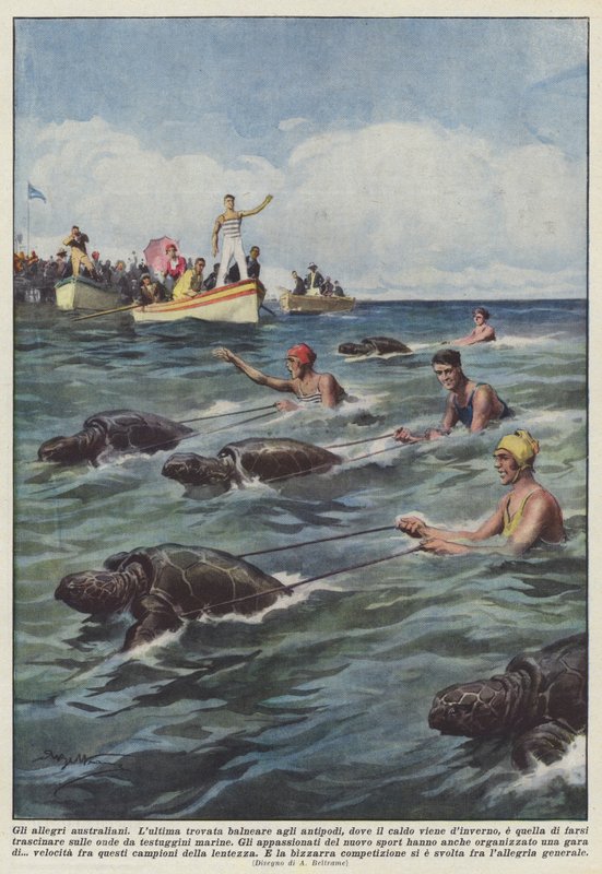 Los alegres australianos de Achille Beltrame