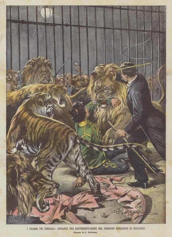 Los dramas de los serrallos, durante una representación en el jardín zoológico de Budapest de Achille Beltrame