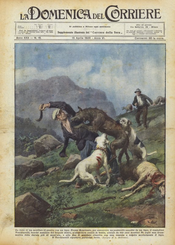 La lucha de un mutilado de guerra con un lobo de Achille Beltrame