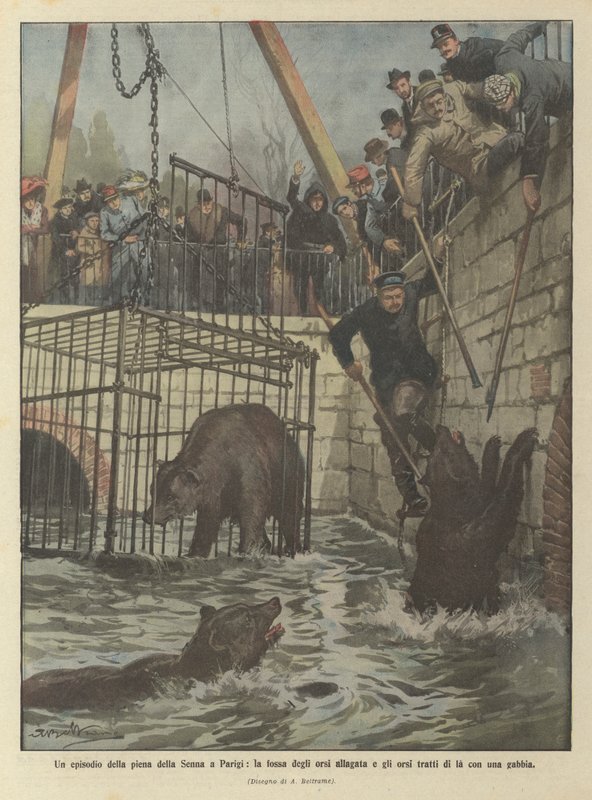 Un episodio de la crecida del Sena en París, la fosa de los osos inundada y los osos rescatados con una jaula de Achille Beltrame