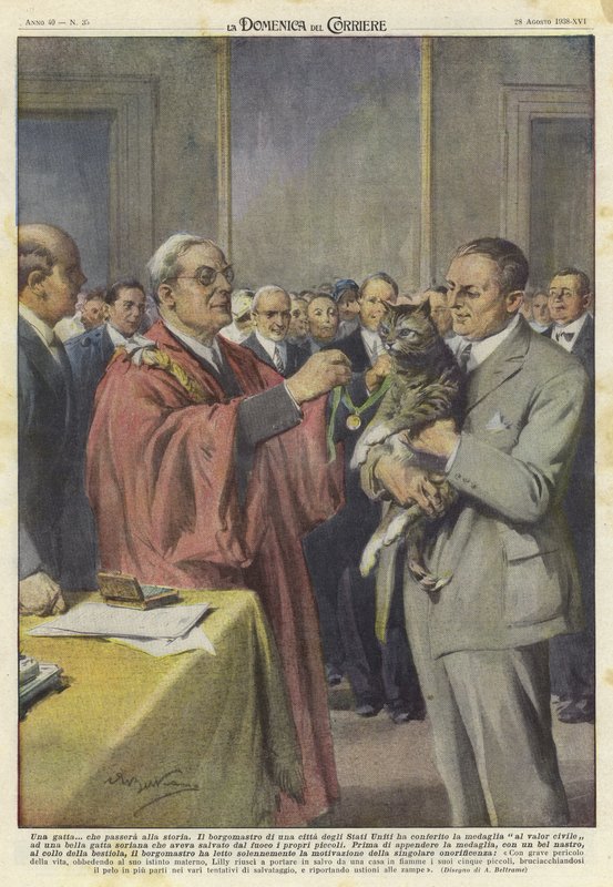 Un gato honrado con una medalla de Achille Beltrame