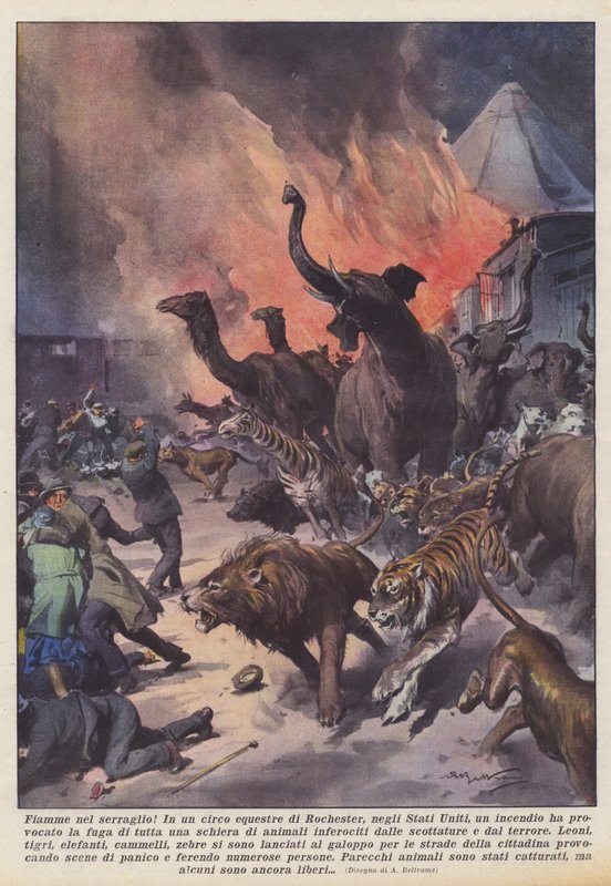 ¡Llamas en el serrallo! de Achille Beltrame