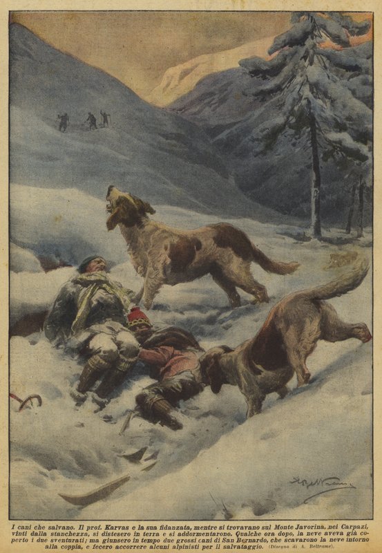 Los perros que salvan de Achille Beltrame