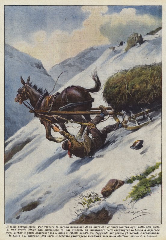 El mulo neurasténico de Achille Beltrame