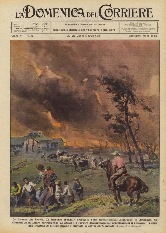 El bosque que arde de Achille Beltrame