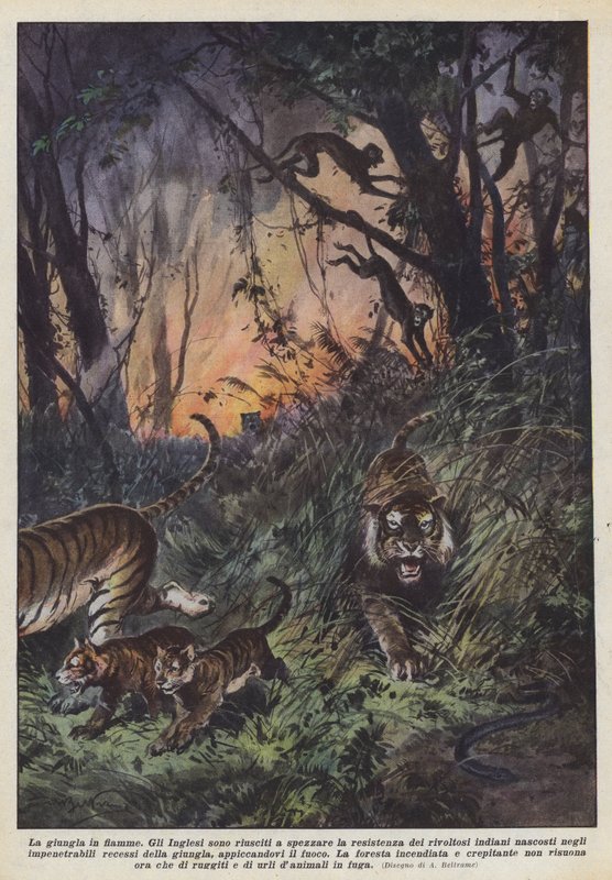 La jungla en llamas de Achille Beltrame