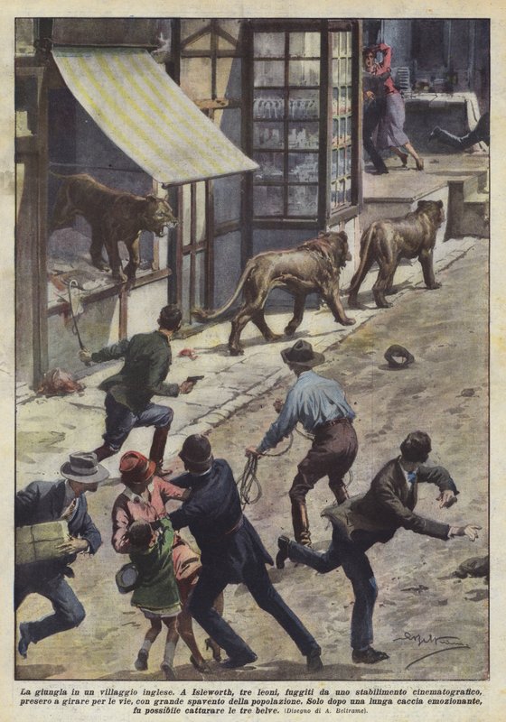 La jungla en un pueblo inglés de Achille Beltrame