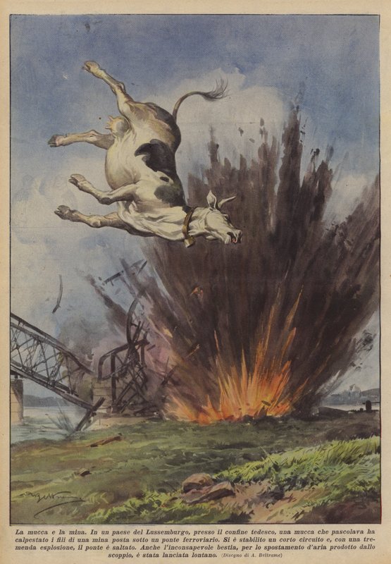 La vaca y la mina de Achille Beltrame