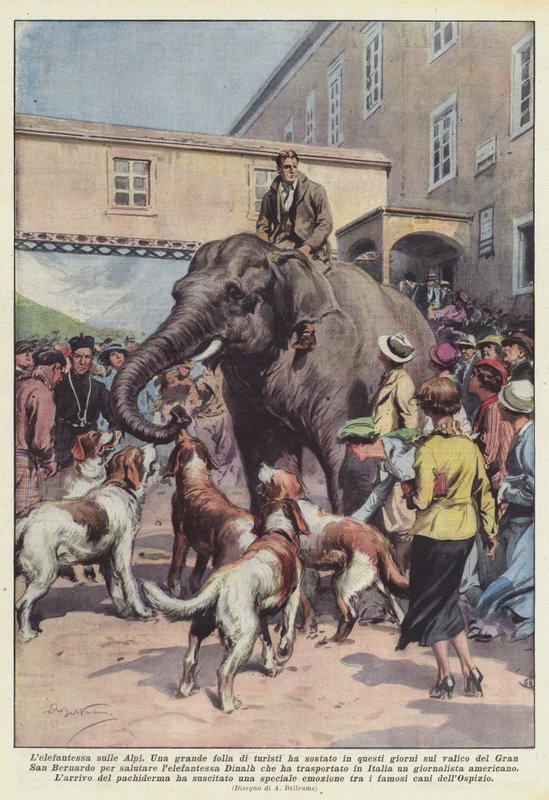 La elefanta en los Alpes de Achille Beltrame