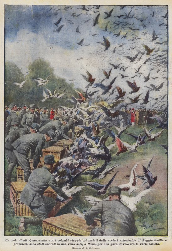 Un cielo de alas de Achille Beltrame