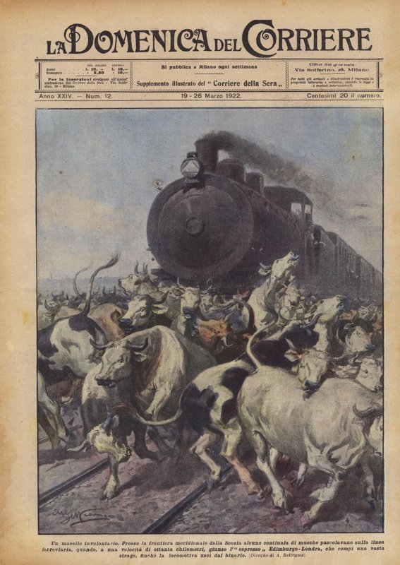 Una matanza involuntaria de Achille Beltrame