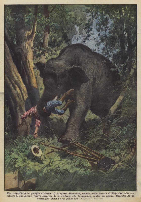 Una tragedia en la jungla africana de Achille Beltrame