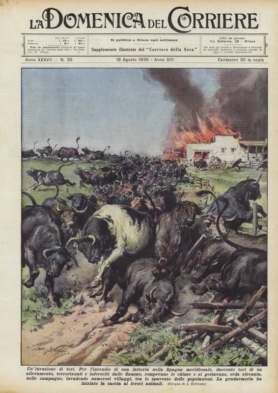 Una invasión de toros de Achille Beltrame