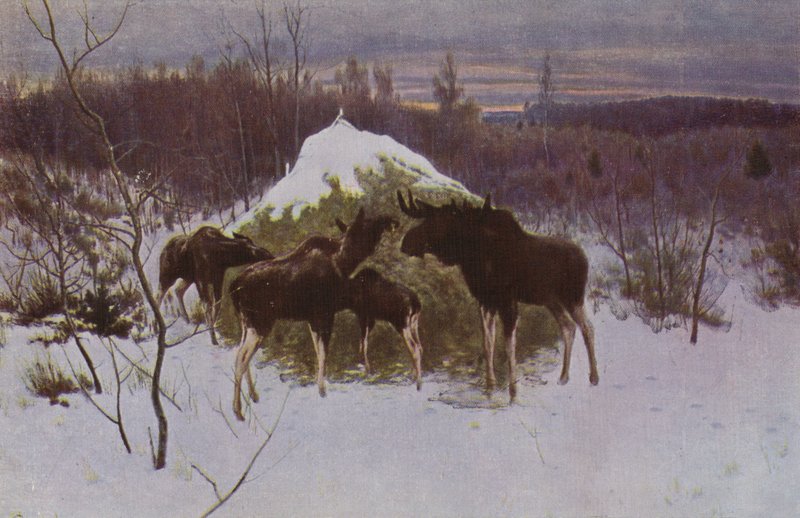 Manada de alces, 1889 de Alexei Steipanovitch Stepanov