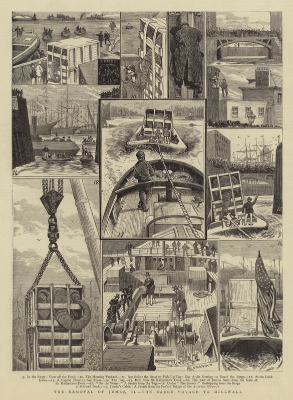 La remoción de Jumbo, II, el viaje en barcaza a Millwall de Alfred Chantrey Corbould