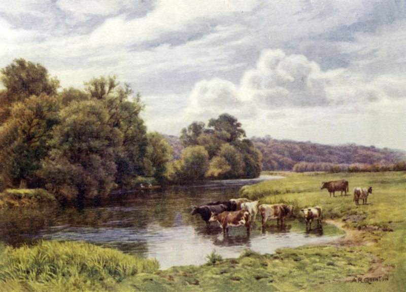 Parque Nuneham de Alfred Robert Quinton