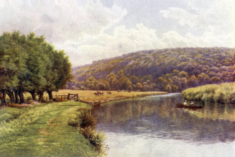 Quarry Woods, Marlow de Alfred Robert Quinton