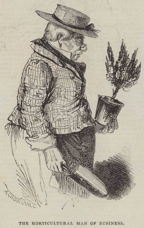 El Hombre de Negocios Hortícola de Alfred Crowquill