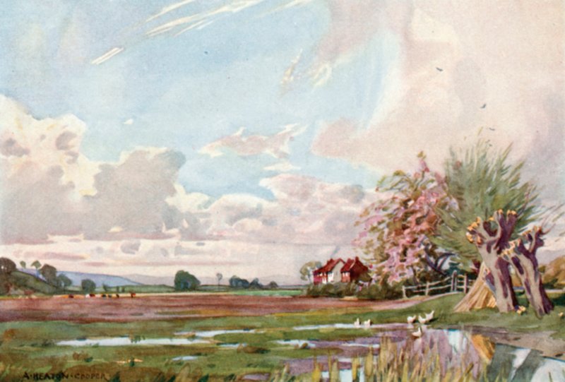 La Isla de Athelney (litografía a color) de Alfred Heaton Cooper
