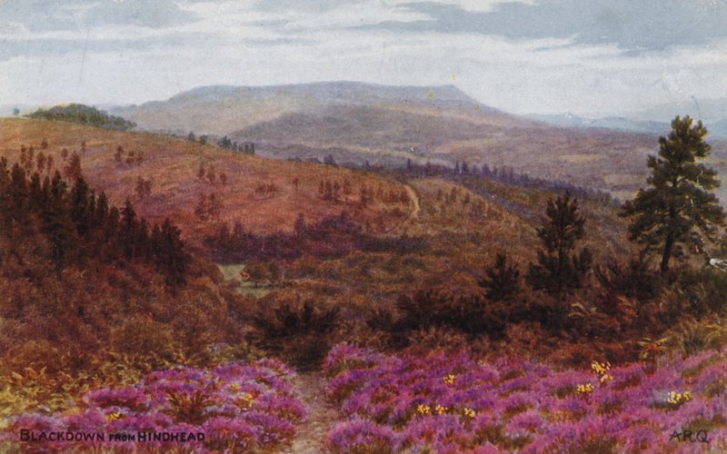 Blackdown desde Hindhead de Alfred Robert Quinton