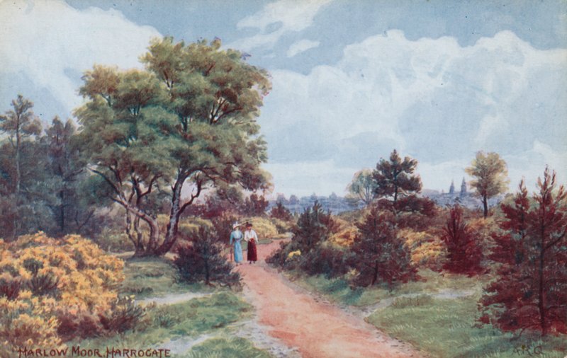 Harlow Moor, Harrogate de Alfred Robert Quinton