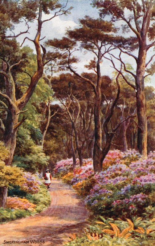 Bosques de Sheringham de Alfred Robert Quinton