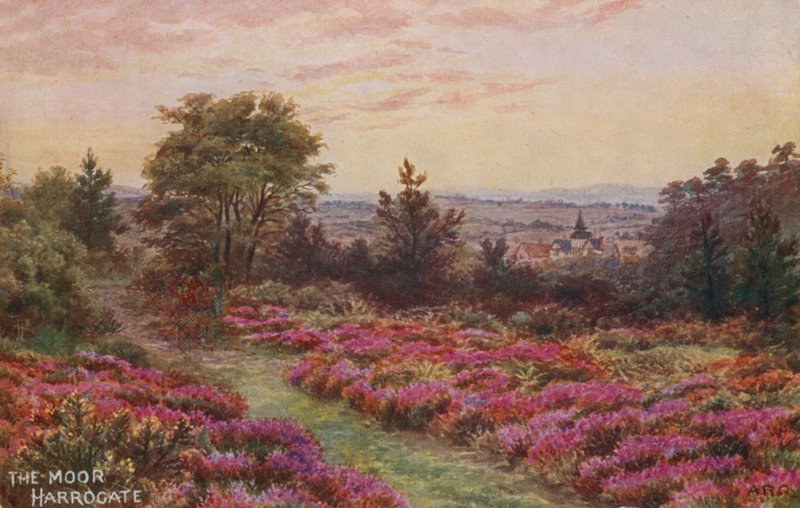 El Páramo, Harrogate de Alfred Robert Quinton