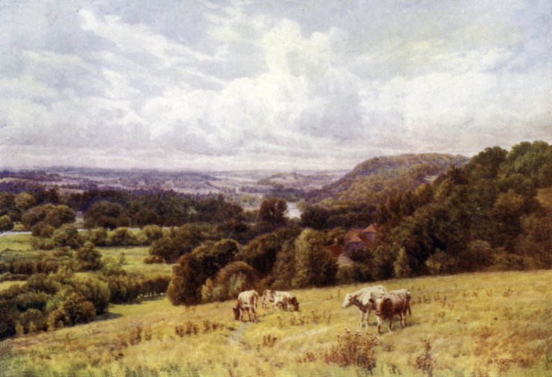 El valle del Támesis desde Hennerton, Henley de Alfred Robert Quinton