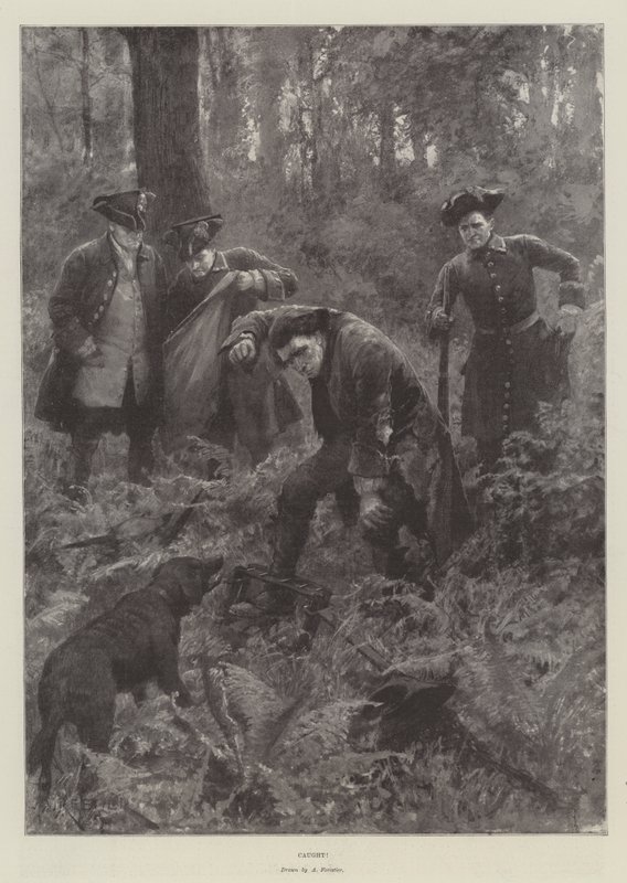¡Atrapado! de Amedee Forestier
