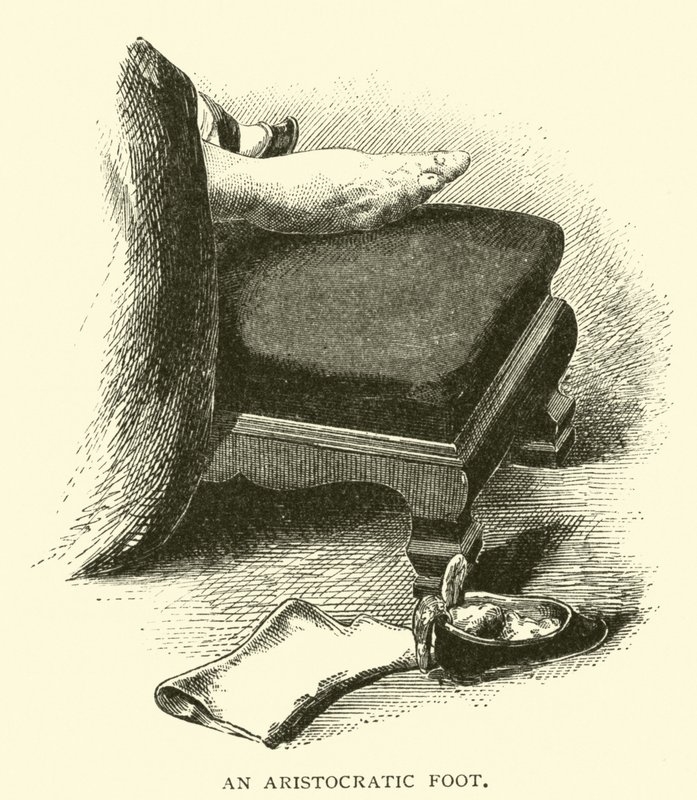 Un pie aristocrático de American School