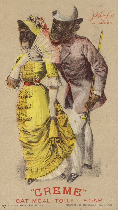 Chimpancés con ropa de American School