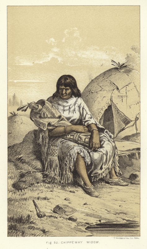 Viuda chippewa de American School