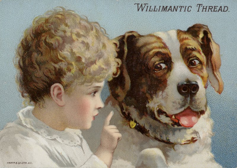 Perro y niño pequeño de American School