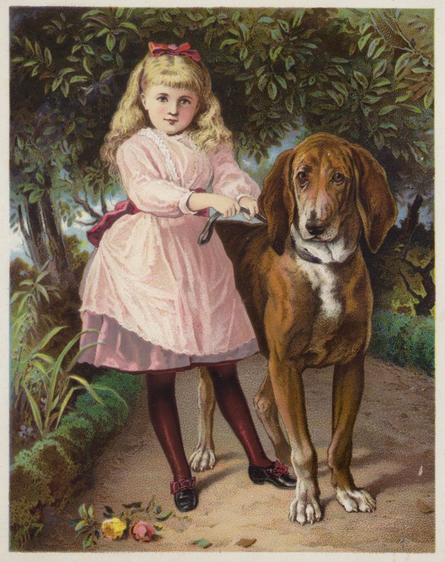 Niña sosteniendo un sabueso con una correa de American School