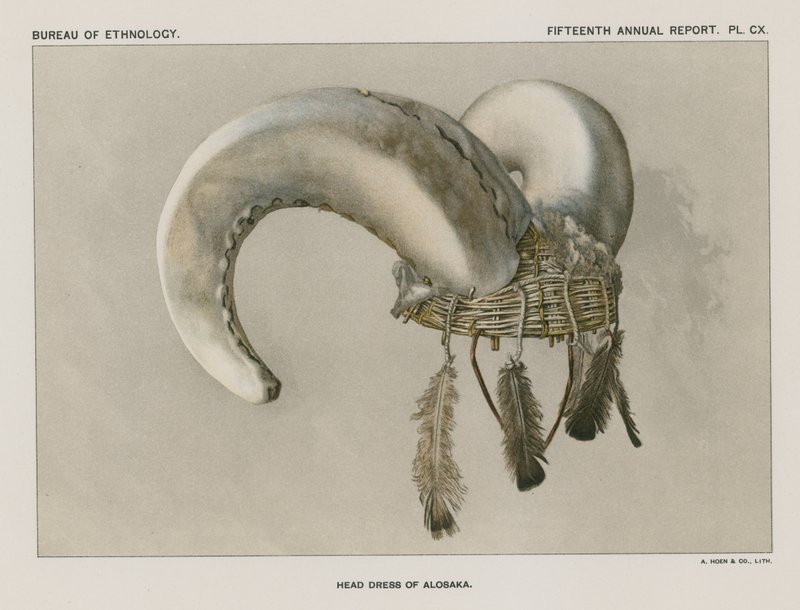 Tocado de Aloska de American School