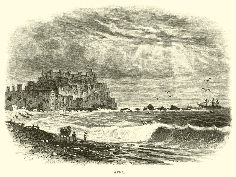 Jaffa de American School