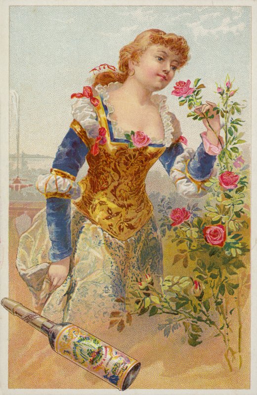 Dama oliendo rosas de American School