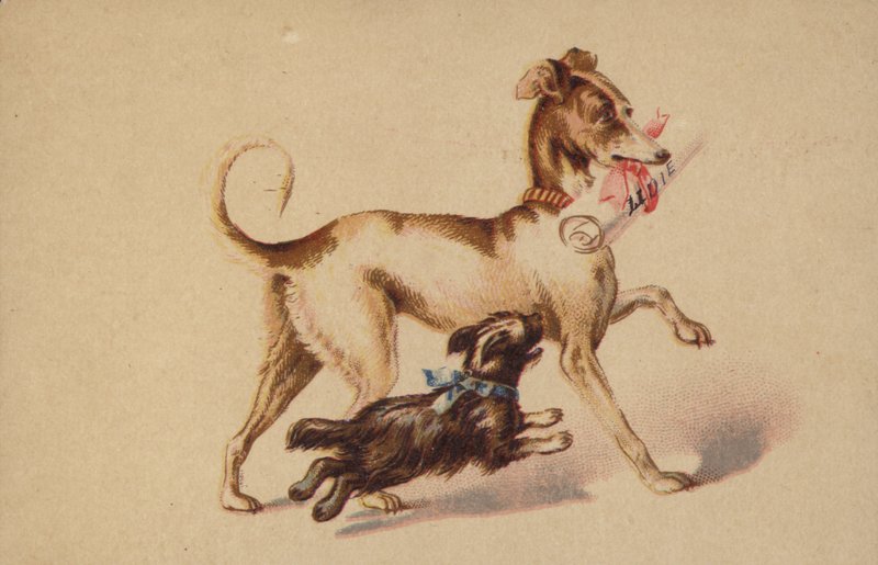 Perro grande y pequeño corriendo de American School